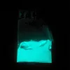 JPB inorganic photoluminescent pigment powder Blue luminescent pigment powder for testing