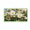 Perfect Fit 1024x600 True Color LVDS Interface Custom TFT LCD Modules 10.1 Inch Capacitive Touch Screen