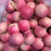 Global Gap Approved Good-Tasting Chinese Fuji Apple Fruit