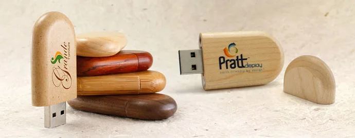Logo printing Wooden Oval Shaped Unique USB Flash Drive - ANKUX.COM