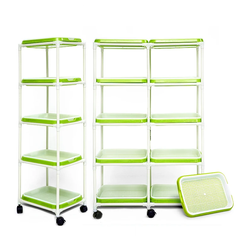 hydroponic seedling.jpg