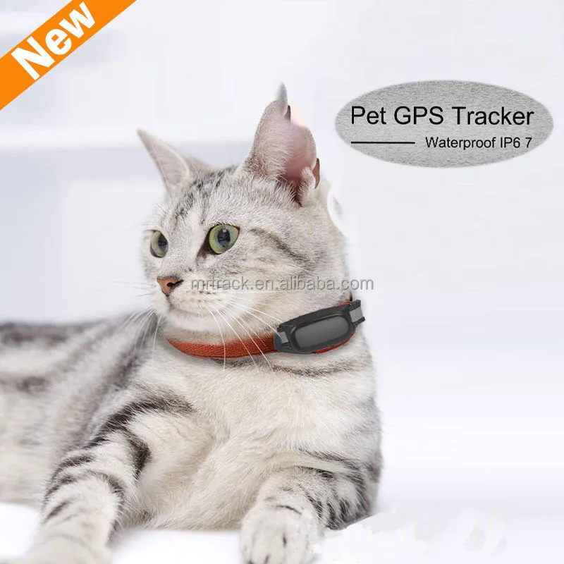 cat tracker collar