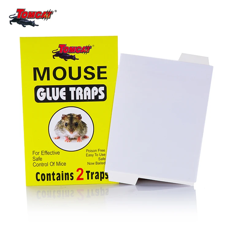 Pest Control Glue Traps Hot Melt Glue Rat And Mouse Glue Traps - Buy 