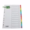 High Quality PP Plastic A4 12 Tabs File Index Divider number