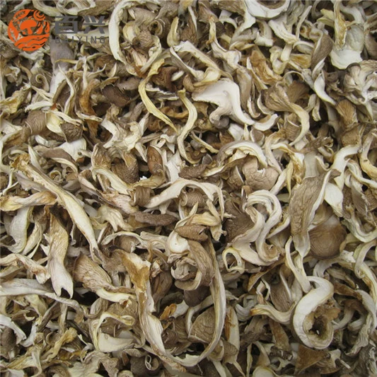 
Fresh dried oyster mushroom 1kg price 