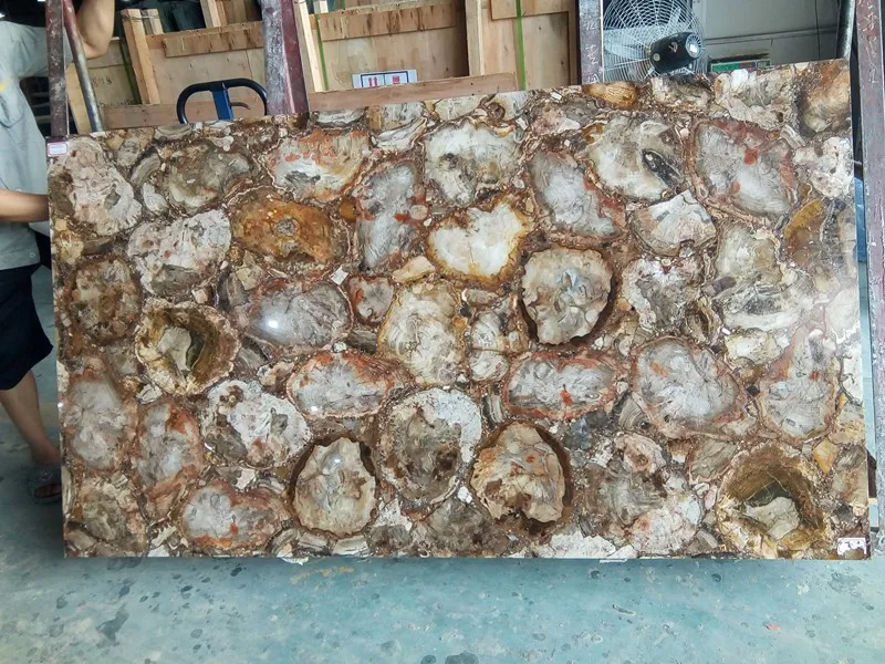 petrified wood slab countertop