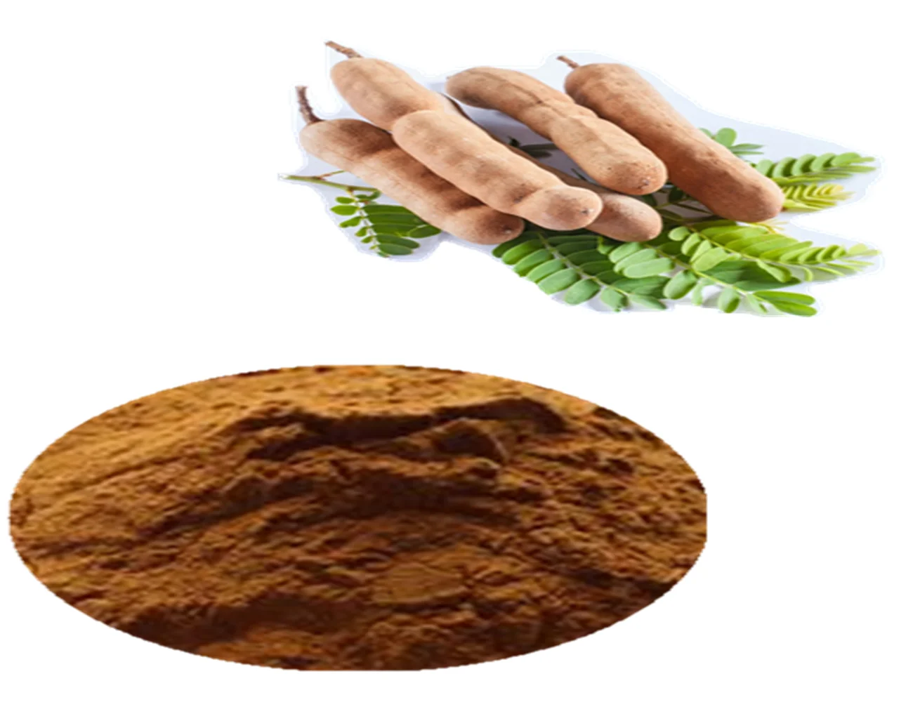 Factory Supply Natural Malabar Tamarind Fruit Seed Extract 10 1 1 Tamarind Extract Buy Tamarind Extract Tamarind Seed Extract Tamarind Fruit Extract Product On Alibaba Com