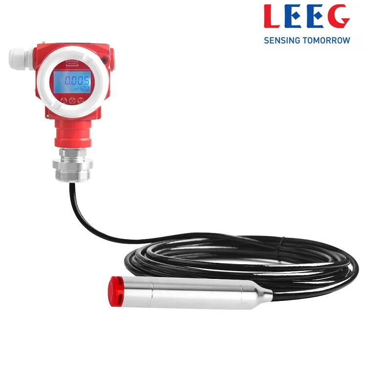 Immersion type Level Pressure Transducer with Display, View level