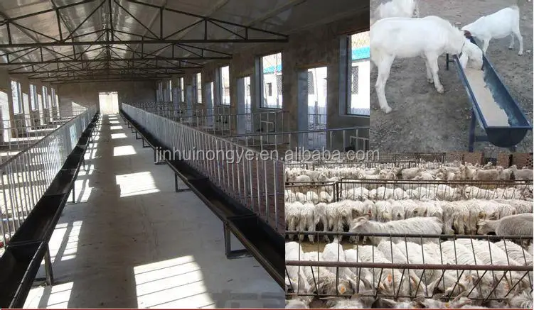 Goat And Sheep Feeding Trough With Float Sheep Trough Feeder