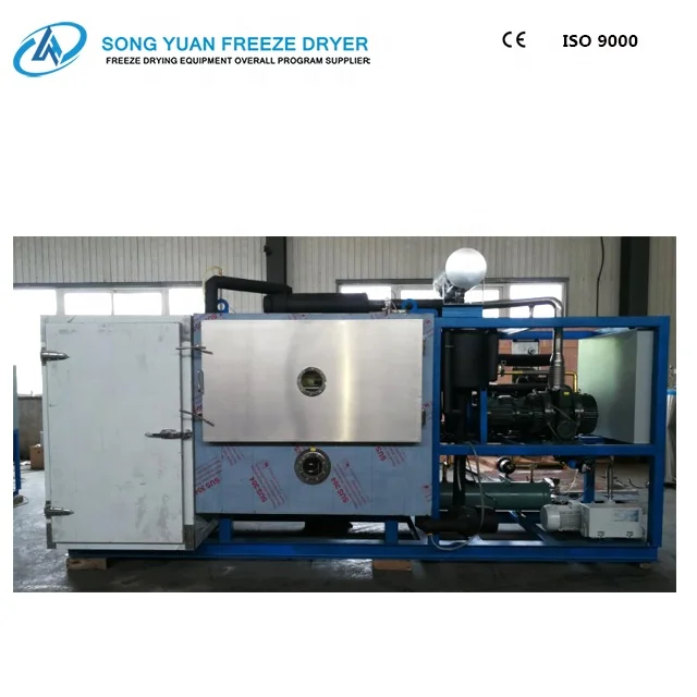 
cold drying machine freeze dried food machine industrial freeze drying machine LG-10 