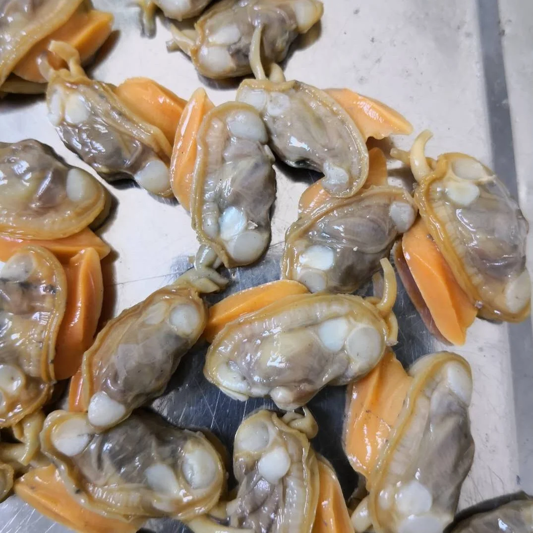 
Good Sale Frozen Oil Clams / Cooked Clam Meat Indonesia Seafood 
