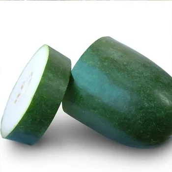 chinese supply fresh wax gourd vegetable