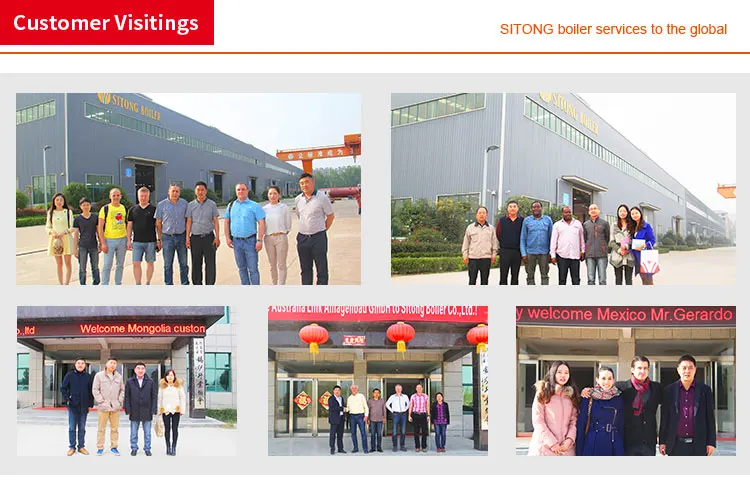 customer visiting of Competitive Price Horizontal Diesel Natural Gas Fired Industrial Thermal Oil Boilers