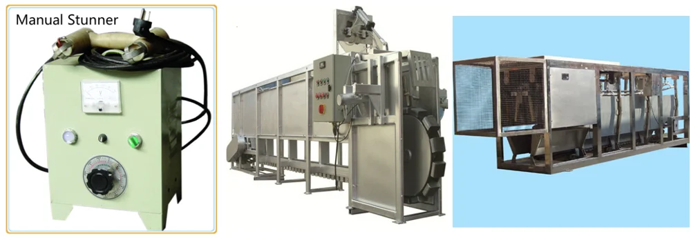 Pig Abattoir turnkey project of pig slaughtering factory slaughtering machine