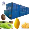 BAIXIN brand large-scale fruit processing continuous production persimmon mesh belt dryer