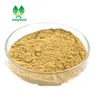 Hot sale Phyllanthus Emblica Extract Indian Gooseberry Extract 5:1 10:1 20:1 Amla Extract Tannins for Shampoo