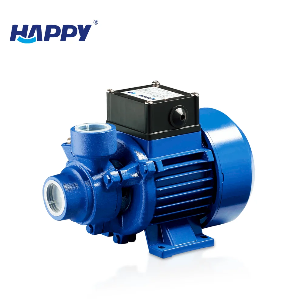 buy electric water pump