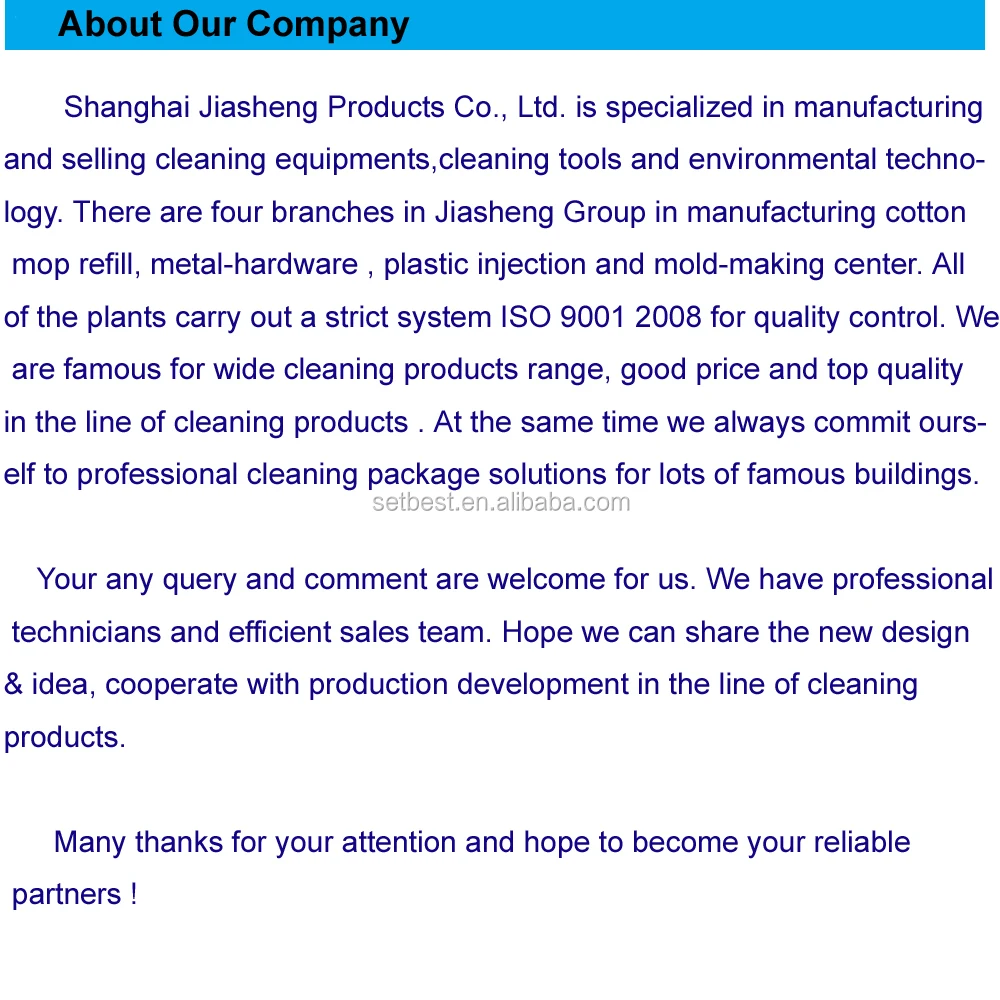 1 About our company