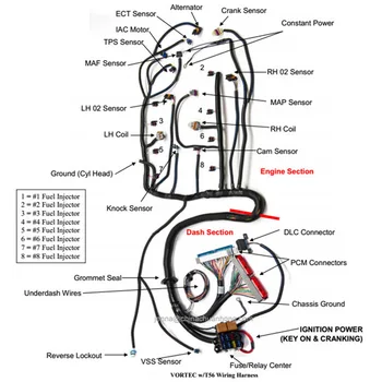 Ls Stand Alone Harness Diagram