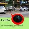 ROSIM LoRa Smart Parking Sensor WPSD-340s for on-street Parking Space Detection