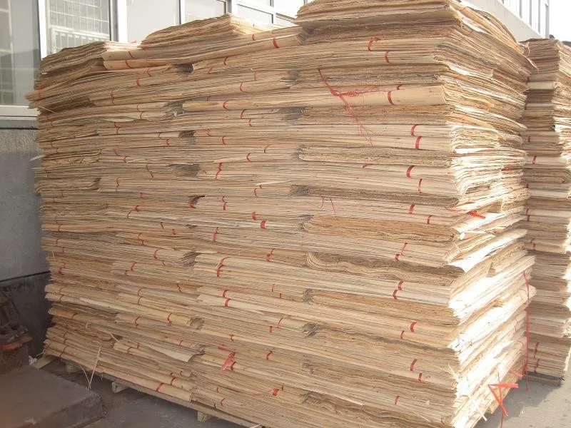 HTB1Sf49HFXXXXXpXpXXq6xXFXXXC