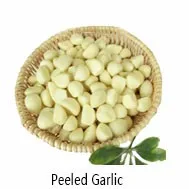 New crop fresh natural pure white garlic