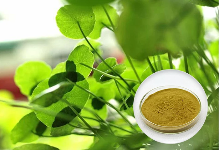 herbex centella extract
