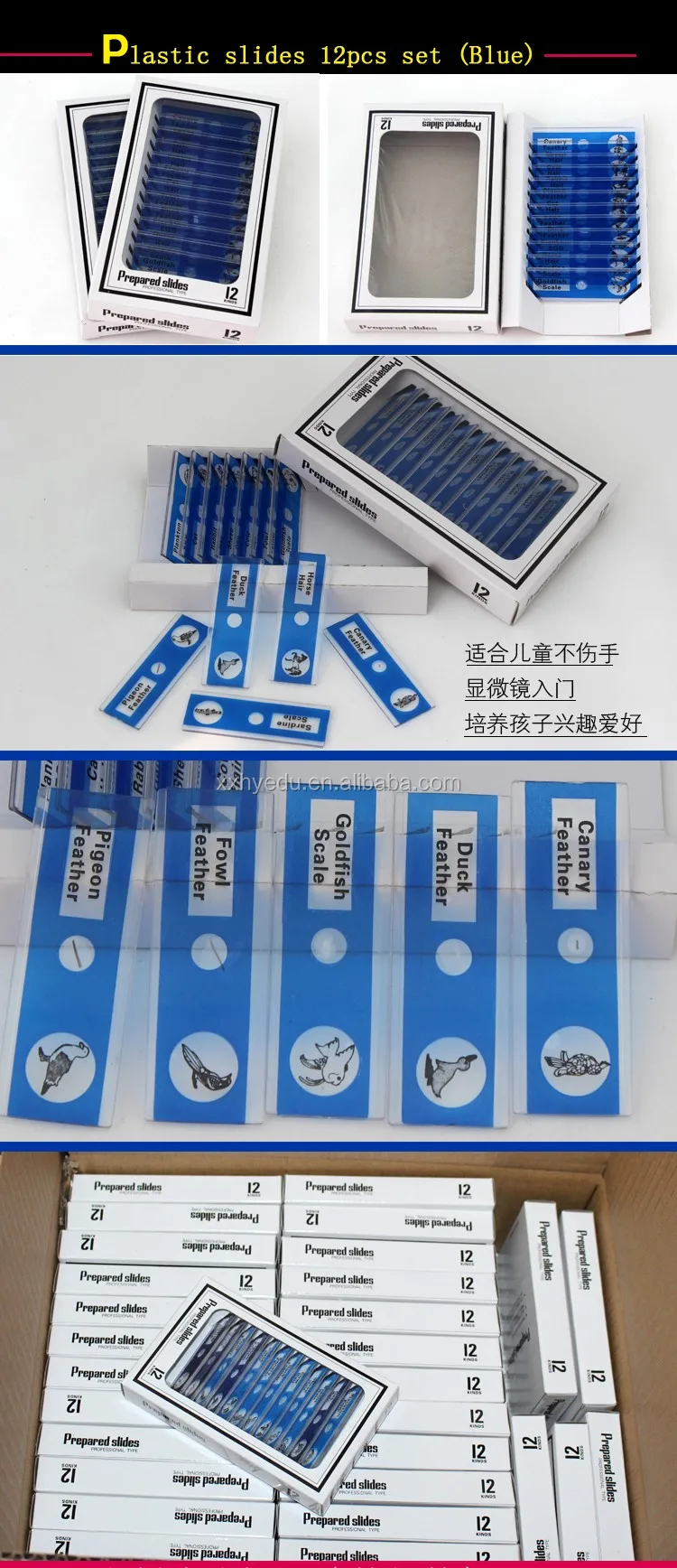 Home teaching 12 pieces plastic children zoology animal plastic slides.jpg