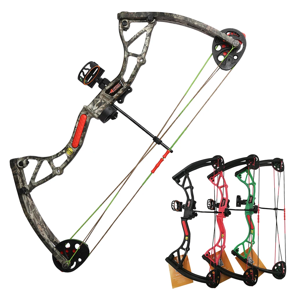 compound bow and arrow set