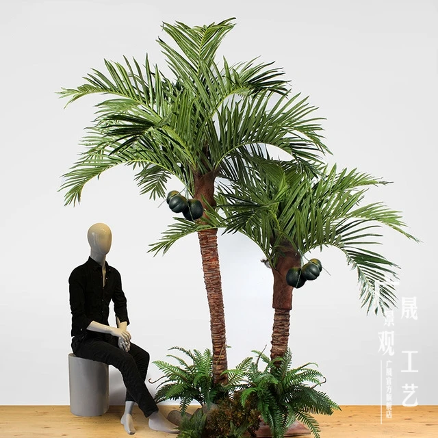 coconut tree.jpg