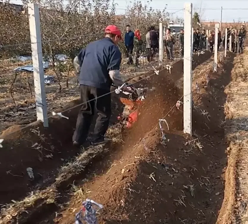 9hp Mini Farming Tools Cultivation Tiller Rotavator 7hp - Buy Mini