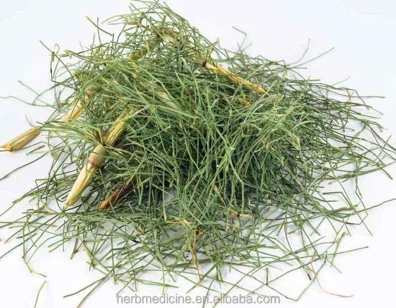 
Dried Horsetail cuts Herba Equiseti Arvensis china raw herb 