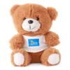 Promotion gift teddy bear custom logo shirt bear Sitting Baby Toy 15cm plush teddy