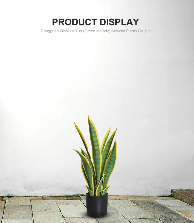 56cm Small Size Yellow Edge Plastic Artificial Snake Plant For Room Ornament Buy Artificial