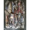 Frozen Chile squid Peru giant squid Equator squid