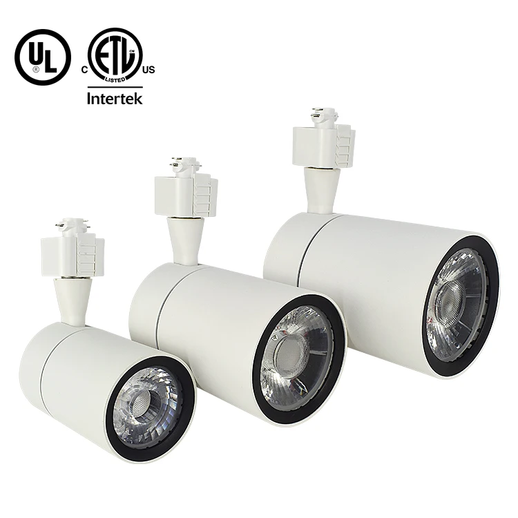 Dimmable Smart track light
