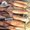 Hot Sale Frozen Japanese Squid with Good Quality