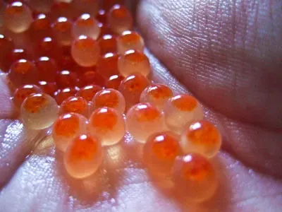 
Salmon Roe (Alaska) 