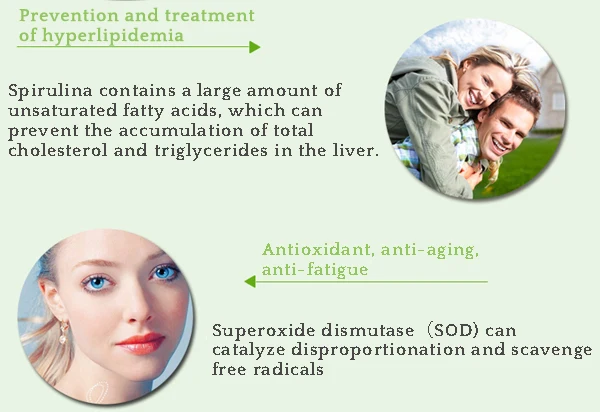 spirulina 2.jpg