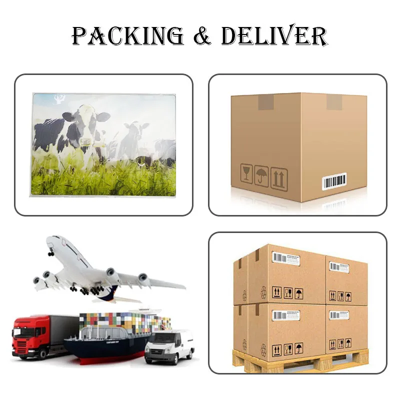 postcard06 Packing.jpg