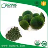 Top grade health food certified organic chlorella/spirulina tablets