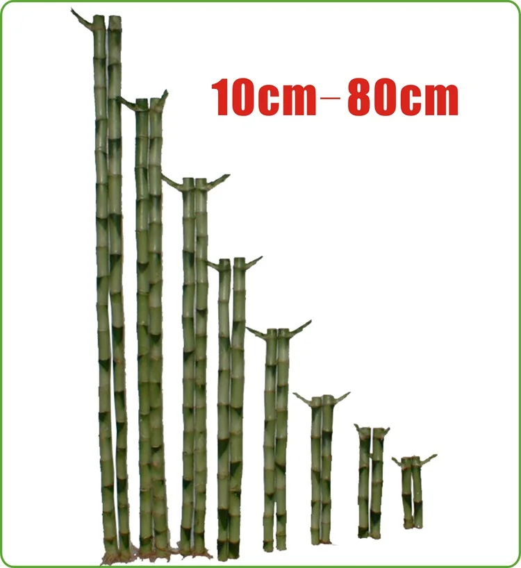 HTB1mtuMKXXXXXbAXpXXq6xXFXXXv