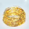 Hot sell micro led copper wire string hanging fairy lights