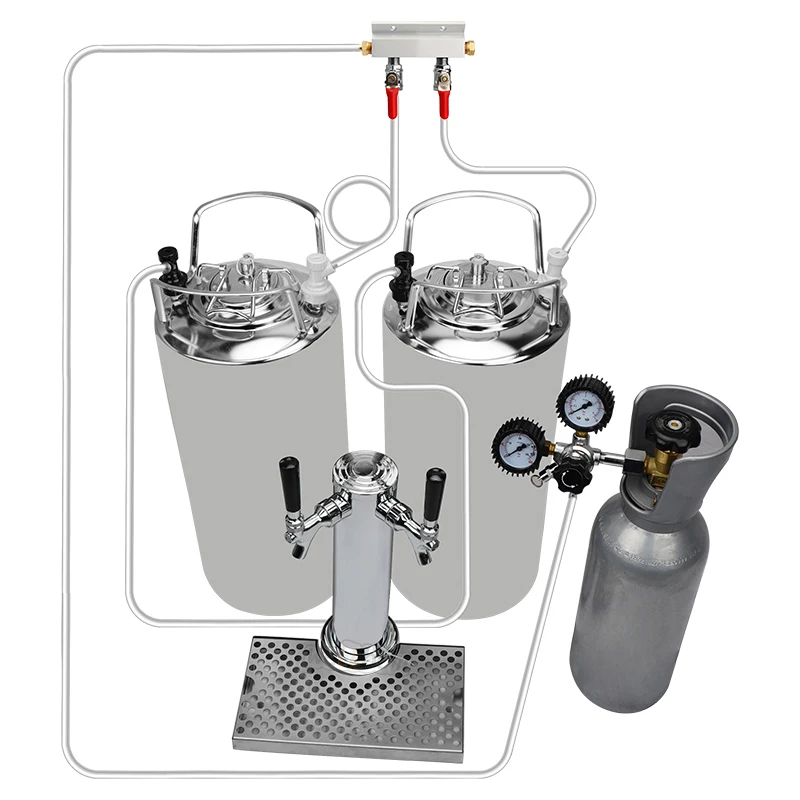 Two 5 Gallon Kegs Fridge Assembly Home Beer Brewing Kit Buy Home Beer