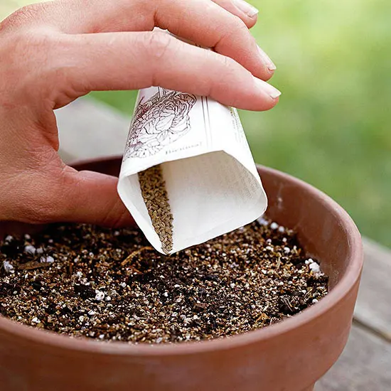 horticulture vermiculite.jpg