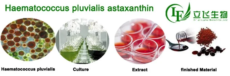 100% Pure Haematococcus Pluvialis Extract Astaxanthin 10% Powder