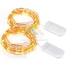 Battery Operated Christmas String Light 30 LEDs Copper Wire Lights 9.8 Ft Rope Lights