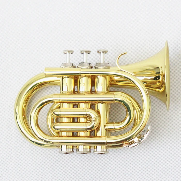 

Professional High Quality Colored Pocket Trumpet Cheap (FPT-100L), Gold