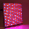 12W SMD 2835 LED Grow Light Panel Lamp with 225 LEDs SMD 2835 Chips for Hydroponics Indoor Plant Indoor Plant Underground Lamp
