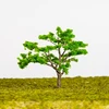 8- 16 cm scale model tree, scale model trees for N HO OO scale models